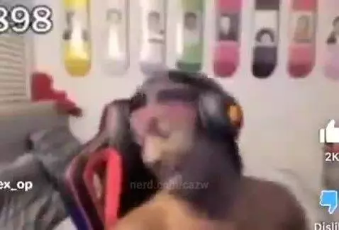 turbulence, twitch, funny by cazw