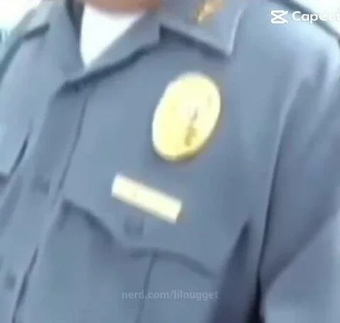 lilnugget post preview