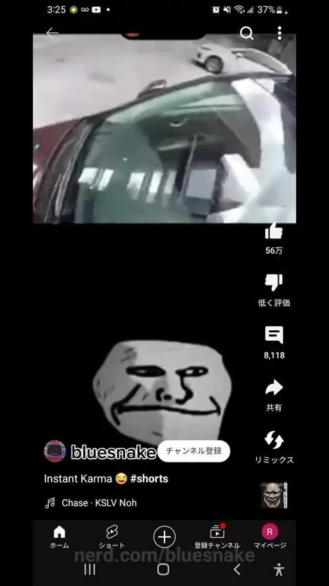 The flag of the Instant karma by bluesnake