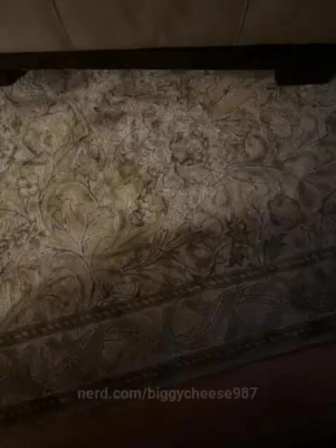 Sleepy by biggycheese987