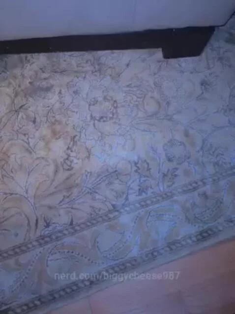 Cool by biggycheese987