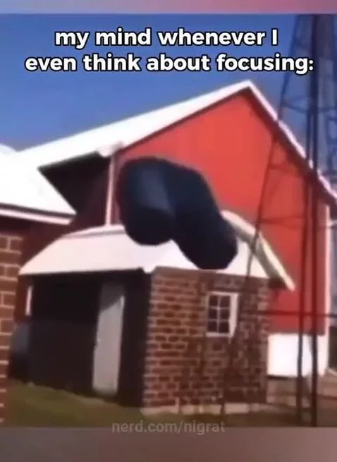 Real💀🤓💩 by nigrat