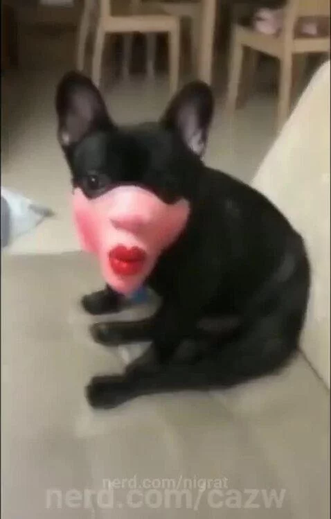 Ahhh goofy by nigrat