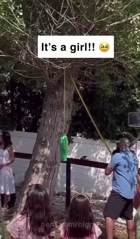 Gender reveal gone zigzag by nigrat