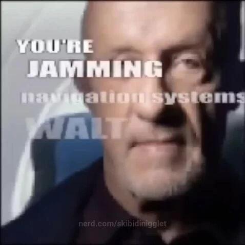 Walter is bugging by skibidinigglet