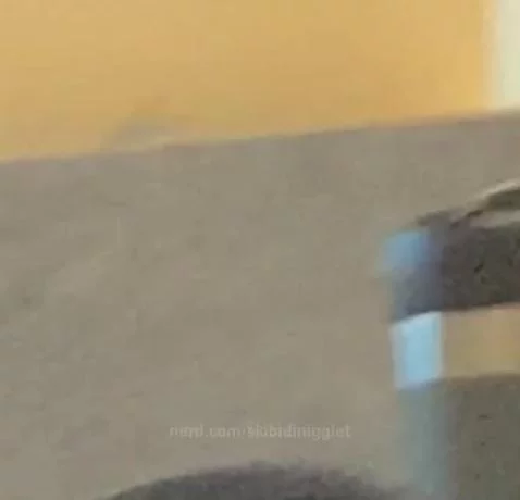 posting random things till 1k followers by skibidinigglet