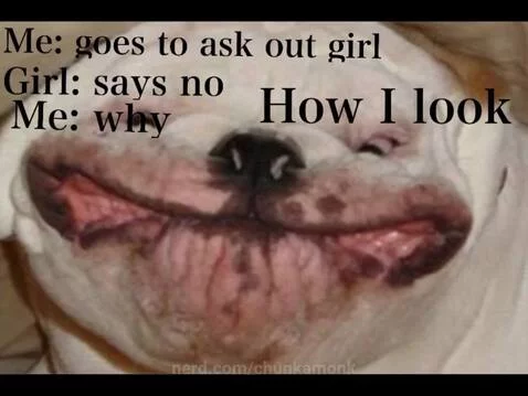 Actual image by chunkamonk