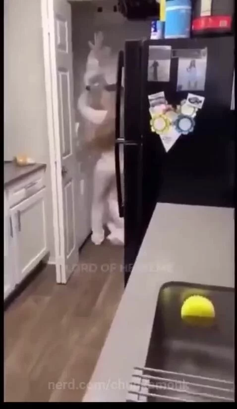 Kick flip by chunkamonk