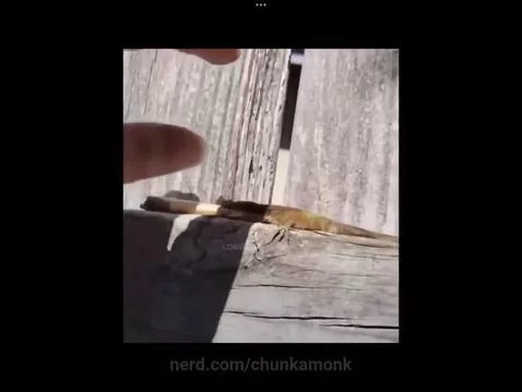 Don’t smoke kids by chunkamonk