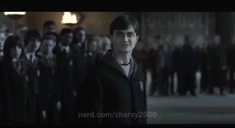 Mcgonagall is the best (RIP Maggie Smith) by charsy2000