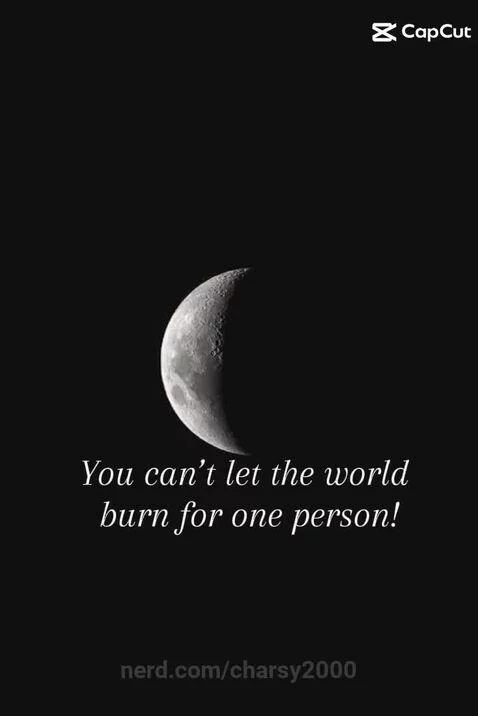 I'd let the world burn by charsy2000