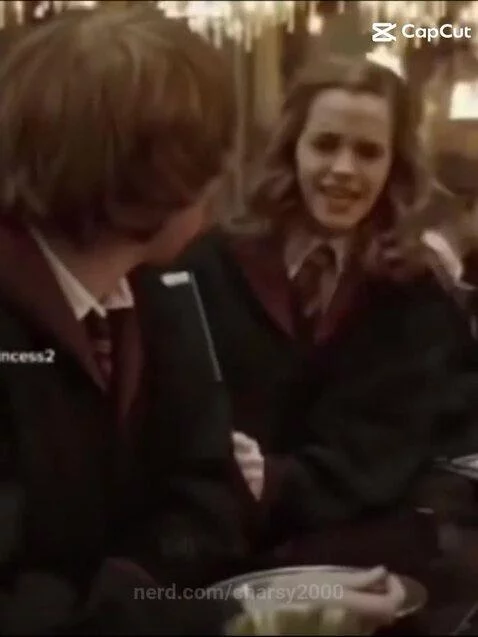 Harry Potter characters getting beat up by charsy2000