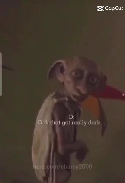 Dobby isn't ok by charsy2000