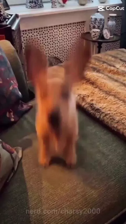 Wait for it... by charsy2000