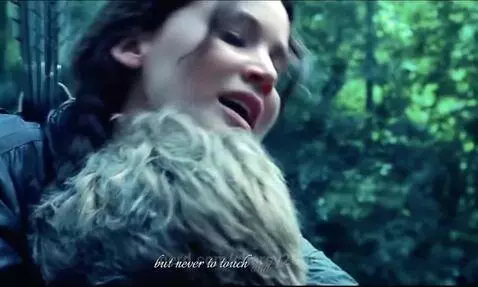 Peeta and Katniss forever by charsy2000