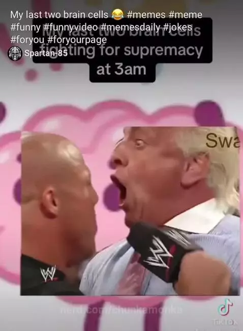 My last two brain cells fighting by chunkamonka