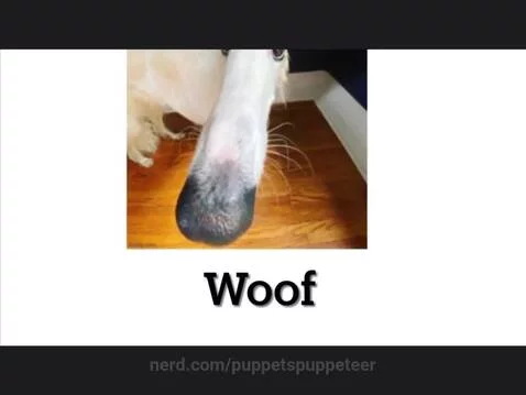 Item Collection. Episode 1 by puppetspuppeteer