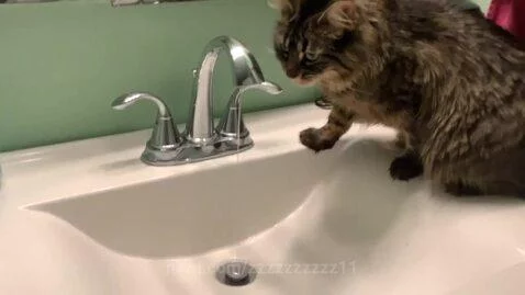 Video by zzzzzzzzzz11