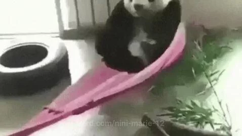 Video by nini-marie-12