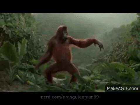 Orangutan dancing! 🦧🕺 by orangutanman69
