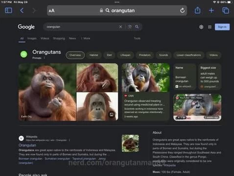video poster