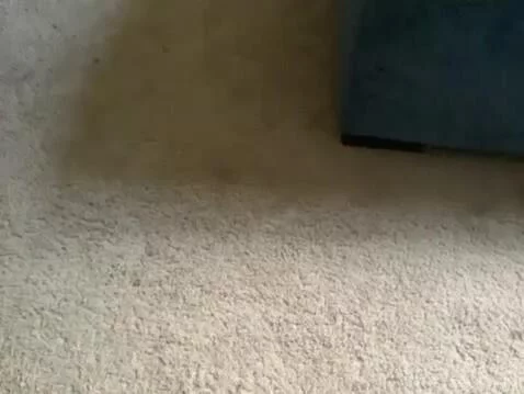 basementguy post preview