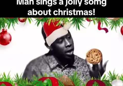 did he actually sing this? by alfie