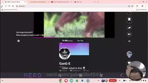 Video by gabezilla4543