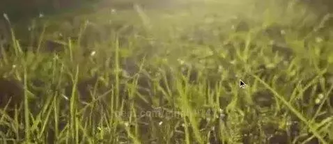 GO FELL IT by elijah1143