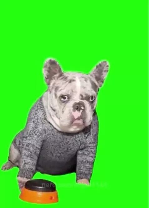 HELL NAW🐶🔥 by elijah1143