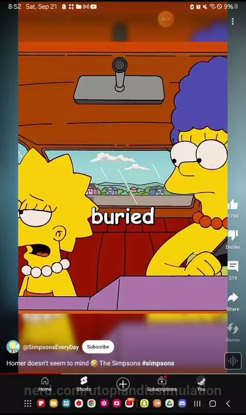 Homer do not care by utopiandissimulation