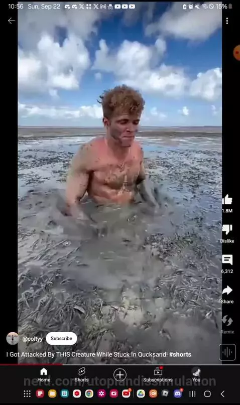 Video by utopiandissimulation