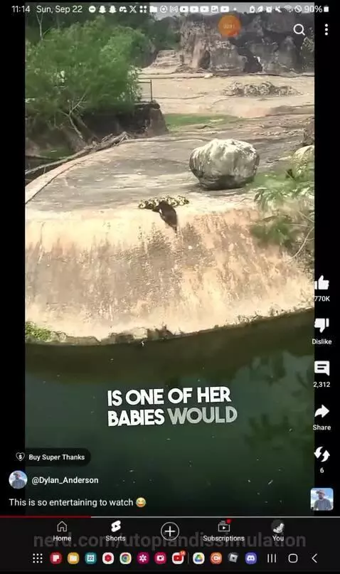 Video by utopiandissimulation