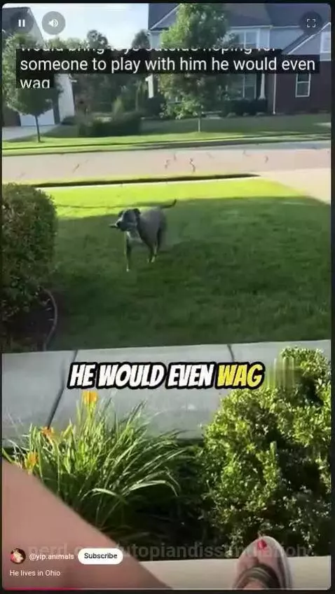 title on the video-He lives in ohio by utopiandissimulation