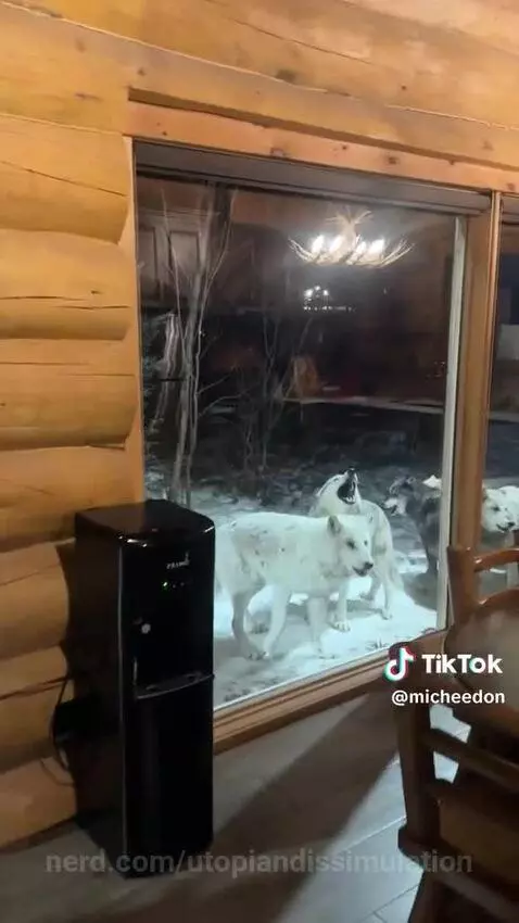 i woulder how he doing with all of that sound by utopiandissimulation