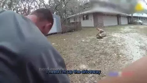 What Makes K9 Dogs So Special: Skills and Training   alr i a... by utopiandissimulation