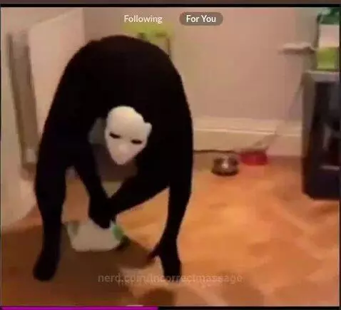 Video by incorrectmassage