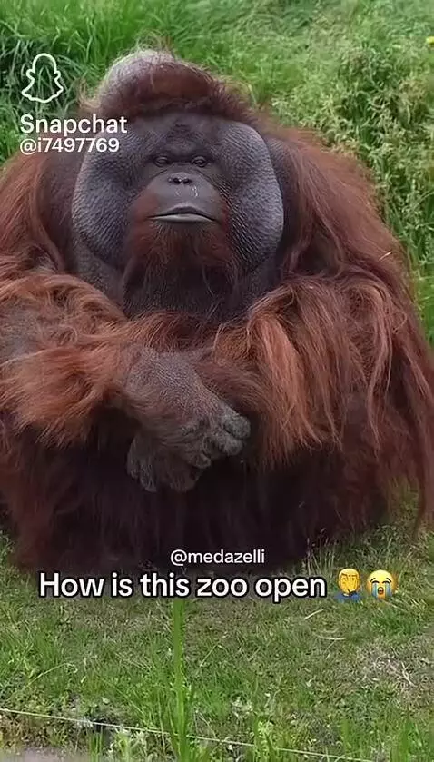 Video by incorrectmassage