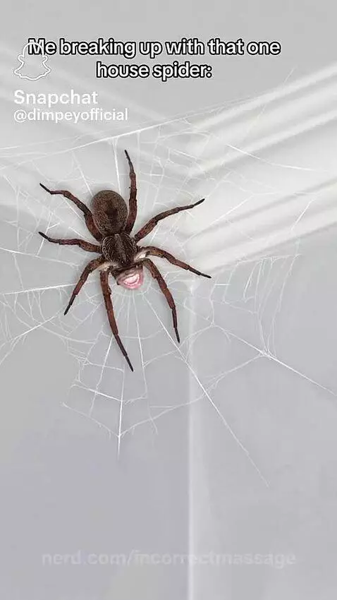 Video by incorrectmassage