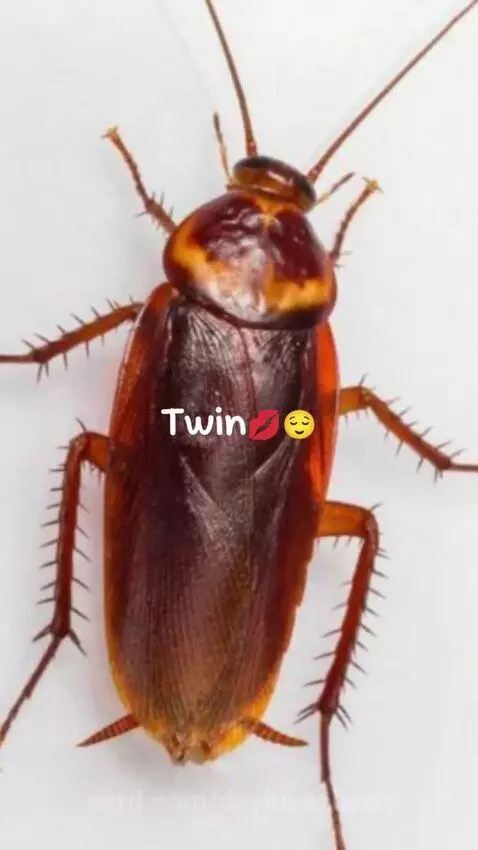 WHERE HAVE U BEEN by deyluvaaliyah