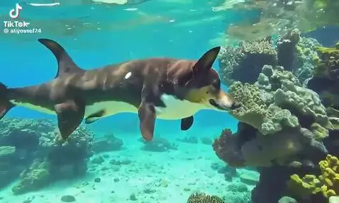 Hehehehe by taytayrizzler