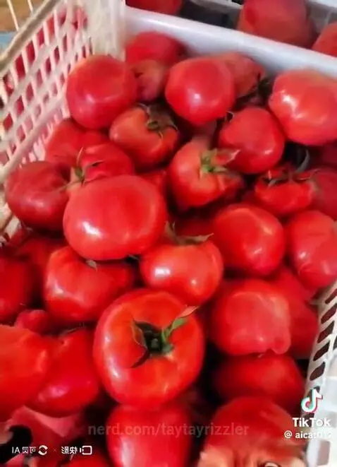 This hurts my brain by taytayrizzler