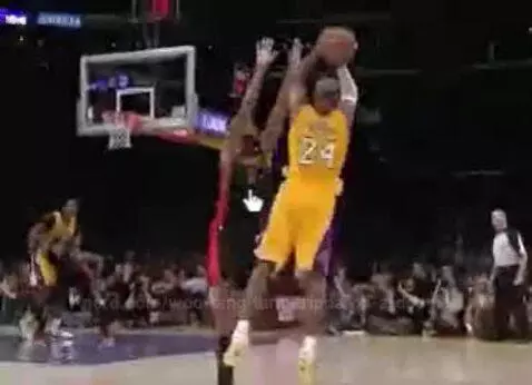 Video by woo-tang-tang-tripda-on-a-doogie