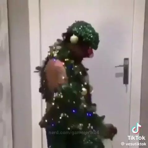 Video by gamererik04