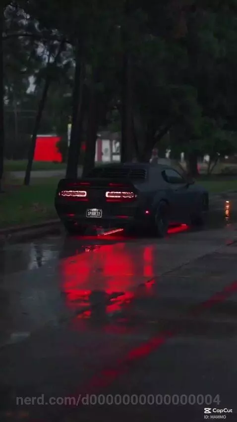 Video by d0000000000000004