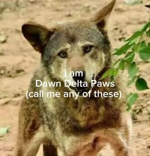 I'ma post when my internet works by frenchiezfanartnuzi