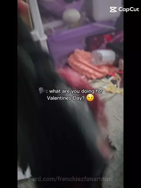 Obligatory valentines day post by frenchiezfanartnuzi