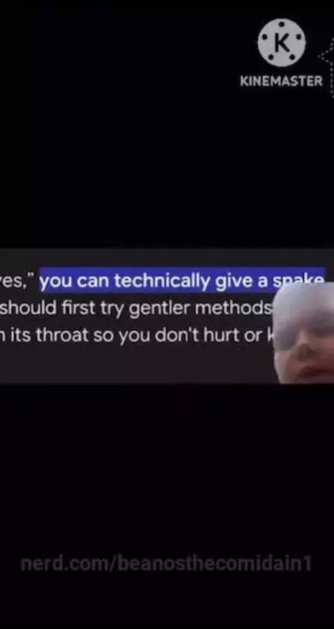 Don’t give snakes Gatorade by beanosthecomidain1