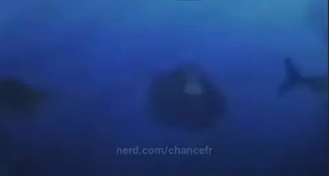 Video by chancefr