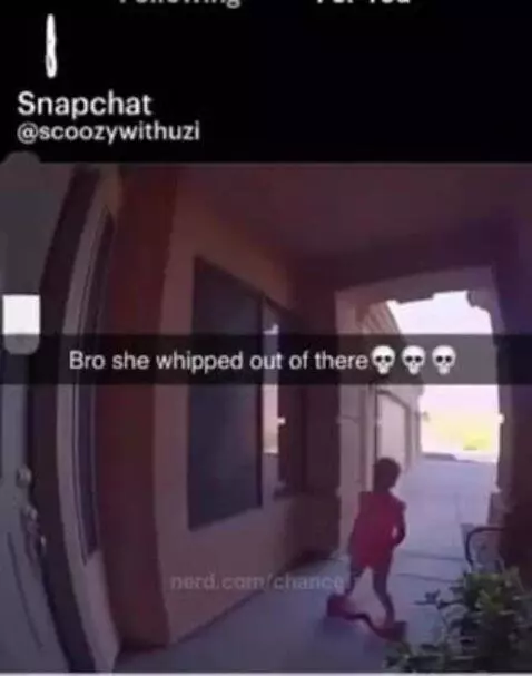 Video by chancefr